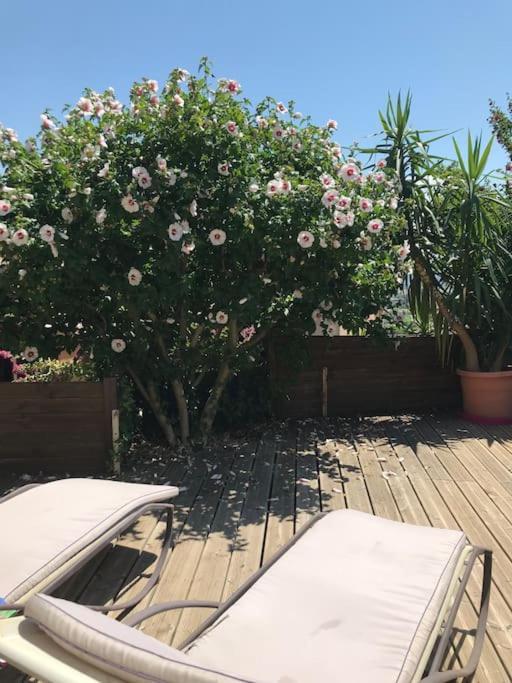 Appartement Sur La Colline Avec Acces Piscine Volx Ngoại thất bức ảnh